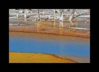 Opalescent Pool (détail, Yellowstone NP, USA)